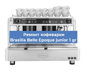 Замена жерновов на кофемашине Brasilia Belle Epoque junior 1 gr в Белгороде